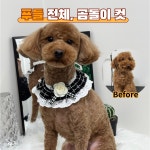 다시오개