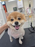 주주살롱