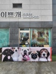 개이쁘개