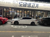도담고기