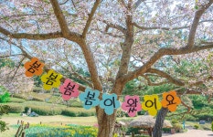 웰빙투어