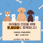 동물병원 THE개치동