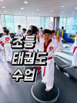 어울림태권도장