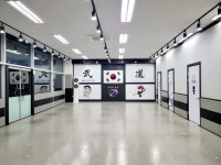 한미태권도특공무술