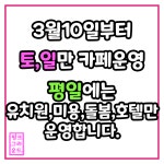 핑크그라운드 애견유치원,애견미용,애견호텔,애견카페