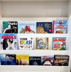 캑터스영어교습소