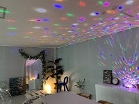 빅파인트리하우스