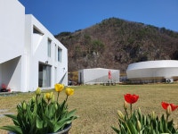 뛰어멍 [애견운동장,애견카페]