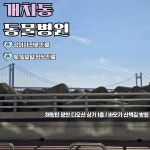 동물병원 THE개치동