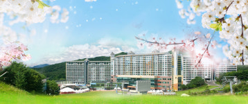 웰리힐리파크