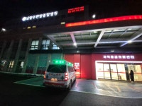 중앙응급환자이송단