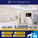 이스턴동물의료센터