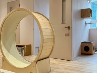 고양이호텔 에어묘앤비