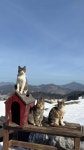 온더락캠핑장