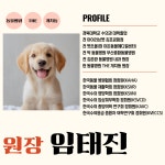 동물병원 THE개치동
