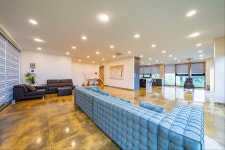 컬렉터6449스테이