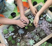 팜밸리농원