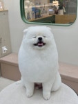 하이벨몽