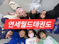 연세월드태권도