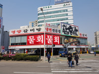 와이지애드플러스
