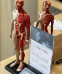 디더테라피 인 아로마스포츠 울산북구점