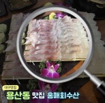 홍매회수산
