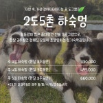 도그캠프 김포점 애견호텔 애견유치원 애견카페