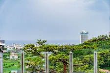 컬렉터6449스테이