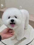 하이벨몽