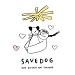 세이브독 애견훈련