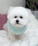 더테일