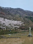 꽃무릇자연수목장