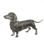 팔레트정원 화실 성인취미미술학원