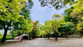 얼음골까투리 펜션&캠핑장