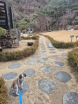 호수길133 카페