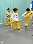 올림픽석사태권도
