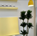 모넬로아뜰리에 미술교습소