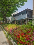 찐쪽갈비 화정본점