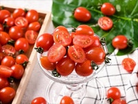 리수스과수원 하단점