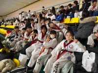 용인대 국가대표 김병태 태권도장