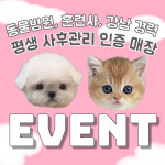 하이퍼피 강아지분양 고양이분양 군산본점
