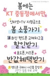 KT 메가텔 중동점
