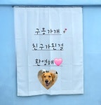 [ 구몽가개 ] 소규모 대형견 유치원 / 호텔링
