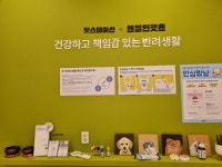 펫스 유치원 펫스테이션점