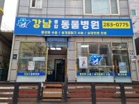 강남종합동물병원