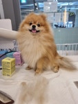 펫스 유치원 펫스테이션점