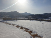 엘림한옥펜션