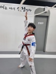 올림픽석사태권도