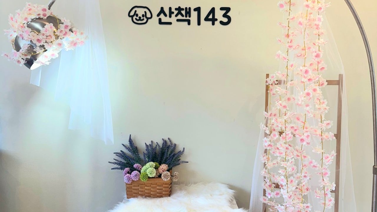 산책143