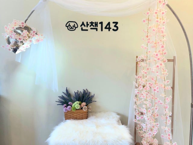 산책143